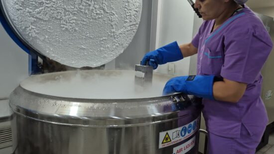 Qué pasa si las células madre del cordón umbilical no se usan nunca 3 Parque de frío del Banco de Células Madre MaterCell, en Argentina.