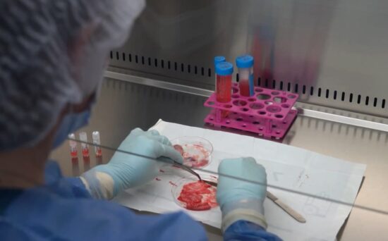 Científica trabajando en el laboratorio de MaterCell con celulas madre