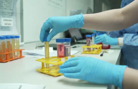 Cuánto cuesta guardar células madre del cordón umbilical en Argentina 2 laboratorio matercell médico trabajando con muestras de sangre